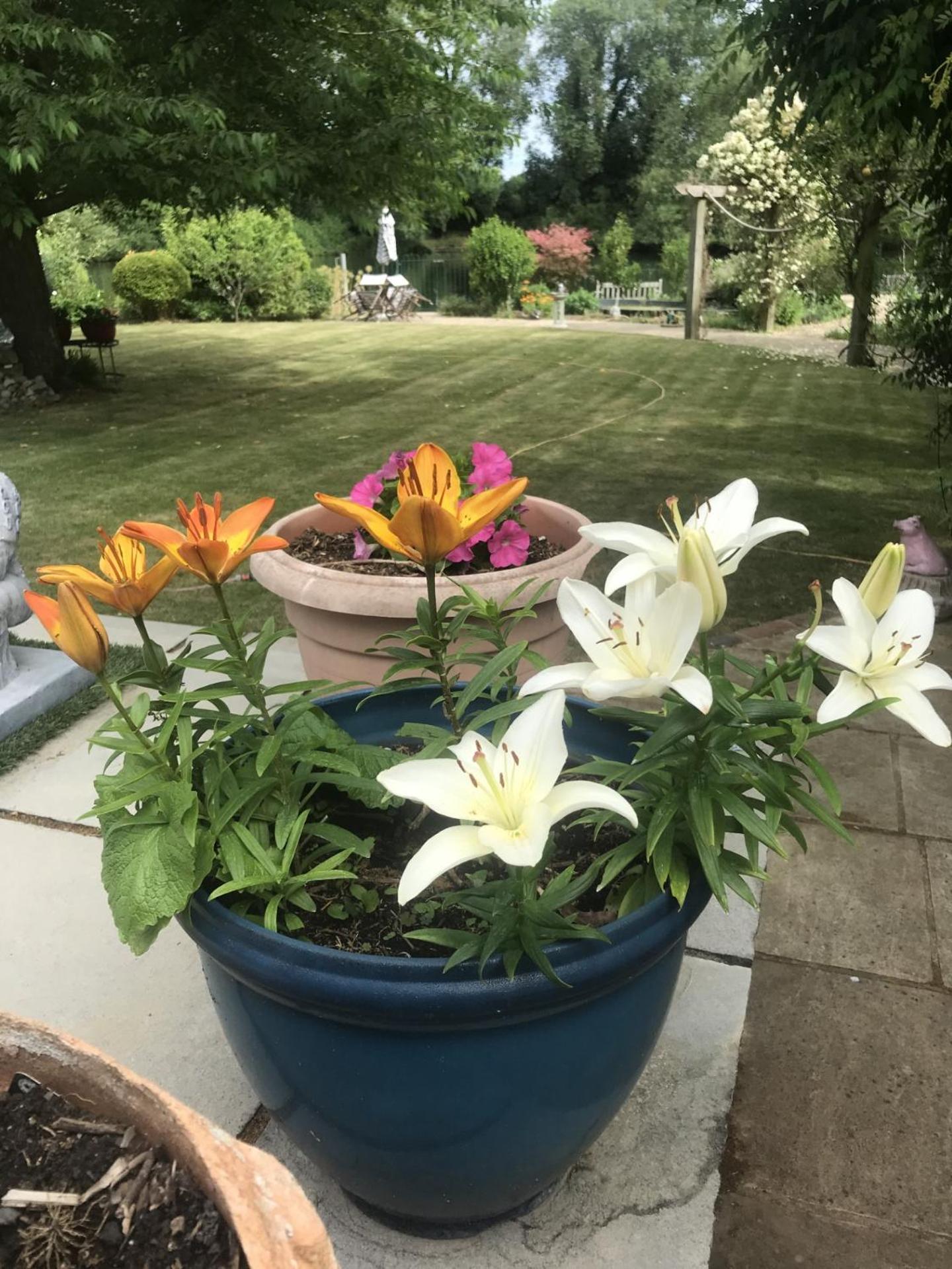 Cozy Double Bedroom In Stunning Bungalow On River Thames - Near Thorpe Park/Royal Holloway University/20Mins From Heathrow Staines-upon-Thames Extérieur photo